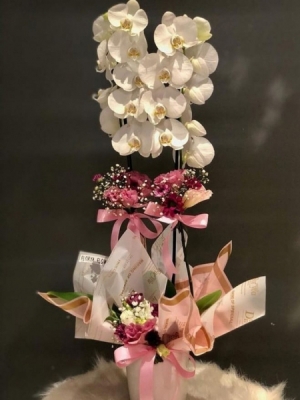 Beyaz Orkide İthal 1