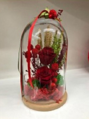 Solmayan Aşk Gülü