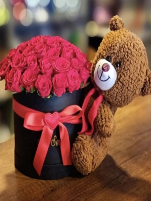 Kutuda Ayıcık Gül 25 Adt Aşkı