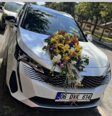 Gelin Arabası 3