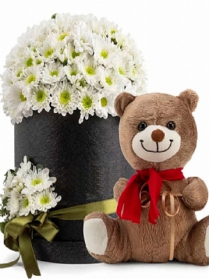 Kutuda Ayıcık ve Papatya